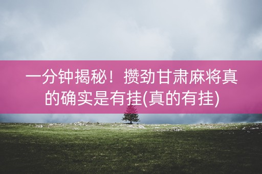 一分钟揭秘！攒劲甘肃麻将真的确实是有挂(真的有挂)