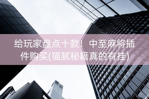 给玩家盘点十款！中至麻将插件购买(猫腻秘籍真的有挂)