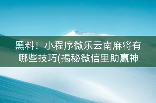 黑料！小程序微乐云南麻将有哪些技巧(揭秘微信里助赢神器购买)