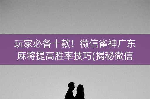 玩家必备十款！微信雀神广东麻将提高胜率技巧(揭秘微信里辅牌器)