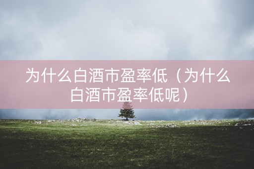 为什么白酒市盈率低（为什么白酒市盈率低呢）