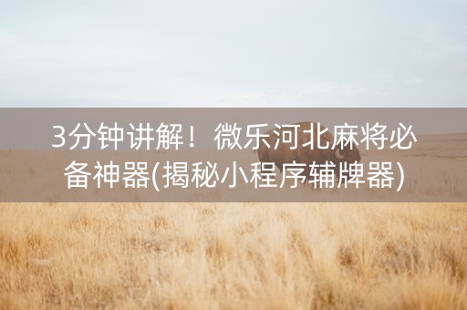 3分钟讲解！微乐河北麻将必备神器(揭秘小程序辅牌器)