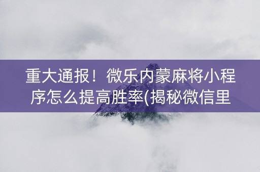 重大通报！微乐内蒙麻将小程序怎么提高胜率(揭秘微信里助赢神器购买)