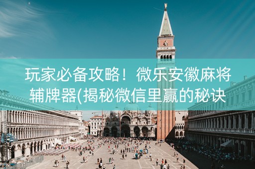 玩家必备攻略！微乐安徽麻将辅牌器(揭秘微信里赢的秘诀)