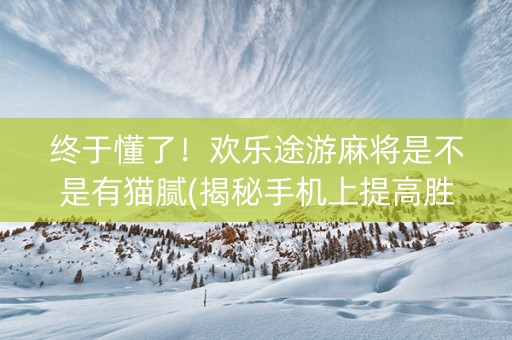 终于懂了！欢乐途游麻将是不是有猫腻(揭秘手机上提高胜率)