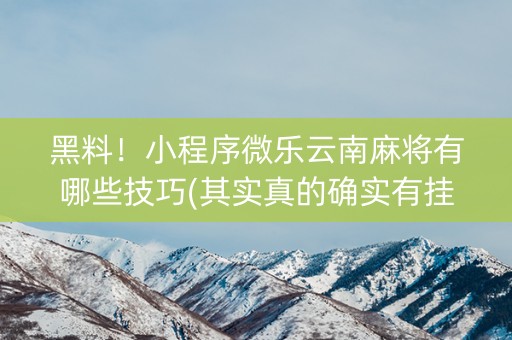 黑料！小程序微乐云南麻将有哪些技巧(其实真的确实有挂)