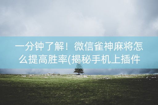 一分钟了解！微信雀神麻将怎么提高胜率(揭秘手机上插件购买)