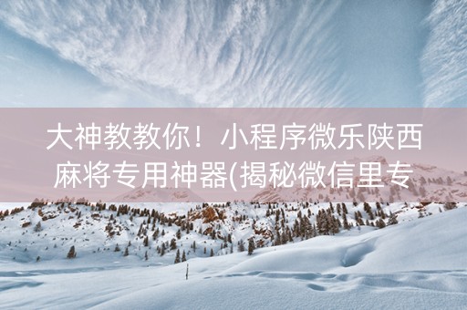 大神教教你！小程序微乐陕西麻将专用神器(揭秘微信里专用神器下载)
