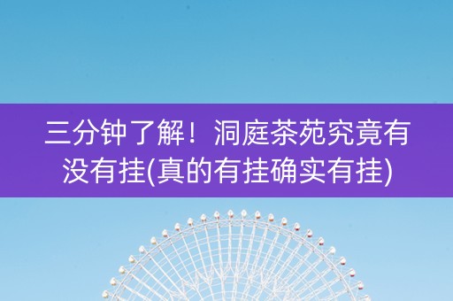 三分钟了解！洞庭茶苑究竟有没有挂(真的有挂确实有挂)