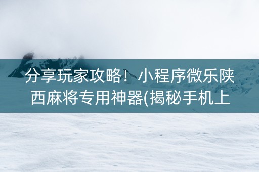 分享玩家攻略！小程序微乐陕西麻将专用神器(揭秘手机上赢的诀窍)