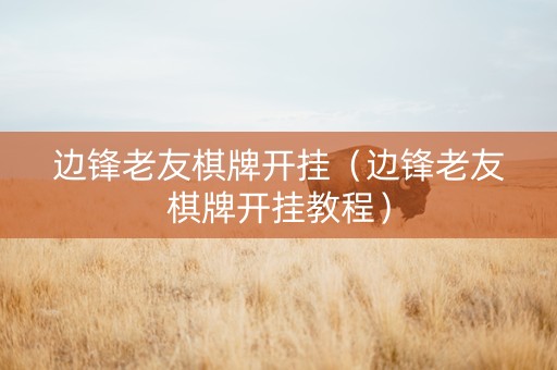 边锋老友棋牌开挂（边锋老友棋牌开挂教程）