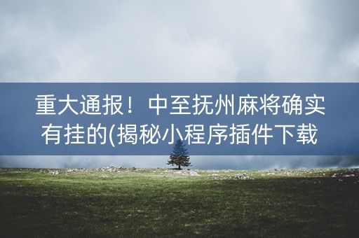 重大通报！中至抚州麻将确实有挂的(揭秘小程序插件下载)