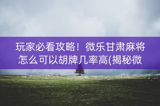 玩家必看攻略！微乐甘肃麻将怎么可以胡牌几率高(揭秘微信里提高胜率)