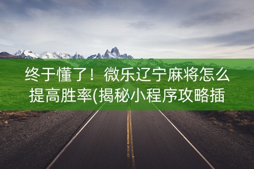终于懂了！微乐辽宁麻将怎么提高胜率(揭秘小程序攻略插件)