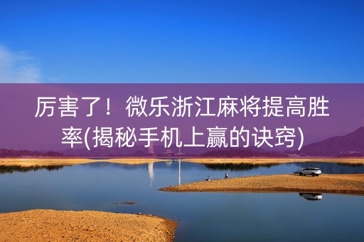 厉害了！微乐浙江麻将提高胜率(揭秘手机上赢的诀窍)