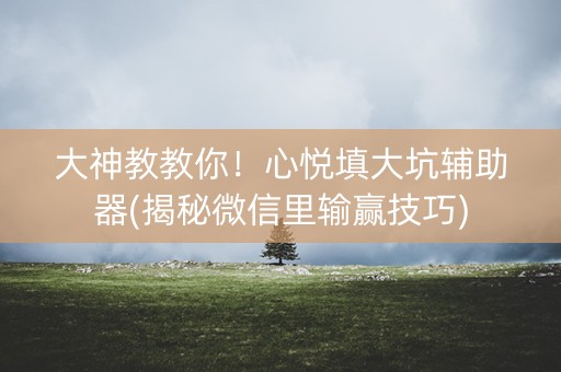 大神教教你！心悦填大坑辅助器(揭秘微信里输赢技巧)