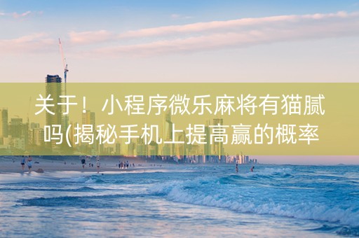 关于！小程序微乐麻将有猫腻吗(揭秘手机上提高赢的概率)