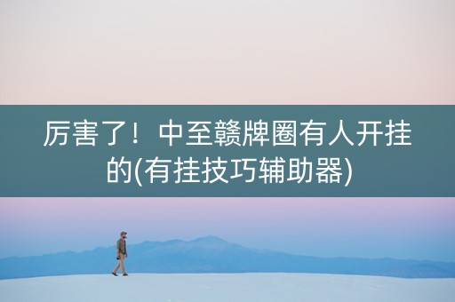 厉害了！中至赣牌圈有人开挂的(有挂技巧辅助器)