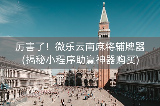 厉害了！微乐云南麻将辅牌器(揭秘小程序助赢神器购买)
