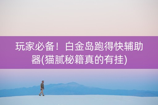 玩家必备！白金岛跑得快辅助器(猫腻秘籍真的有挂)