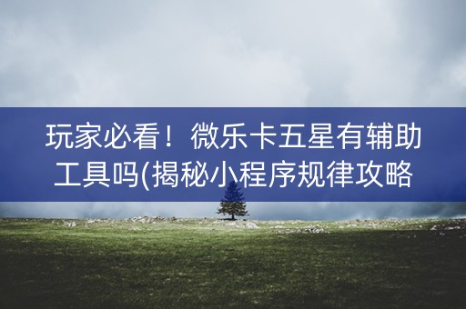 玩家必看！微乐卡五星有辅助工具吗(揭秘小程序规律攻略)
