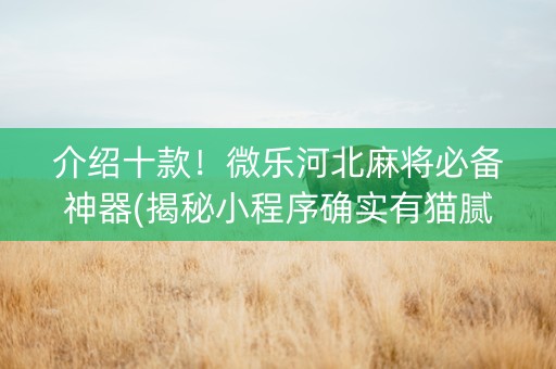 介绍十款！微乐河北麻将必备神器(揭秘小程序确实有猫腻)