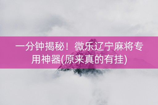 一分钟揭秘！微乐辽宁麻将专用神器(原来真的有挂)