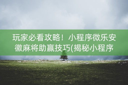 玩家必看攻略！小程序微乐安徽麻将助赢技巧(揭秘小程序助攻神器)