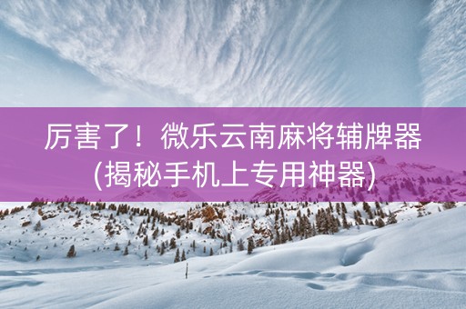 厉害了！微乐云南麻将辅牌器(揭秘手机上专用神器)