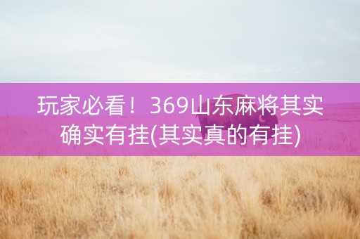 玩家必看！369山东麻将其实确实有挂(其实真的有挂)