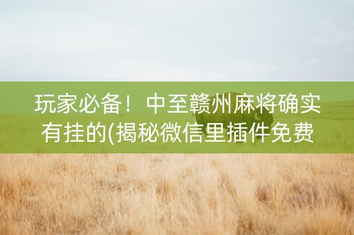 玩家必备！中至赣州麻将确实有挂的(揭秘微信里插件免费)
