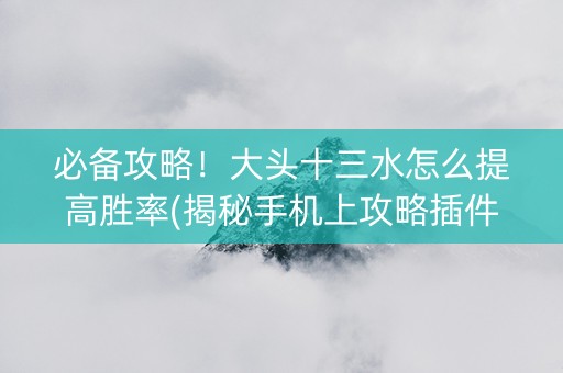 必备攻略！大头十三水怎么提高胜率(揭秘手机上攻略插件)