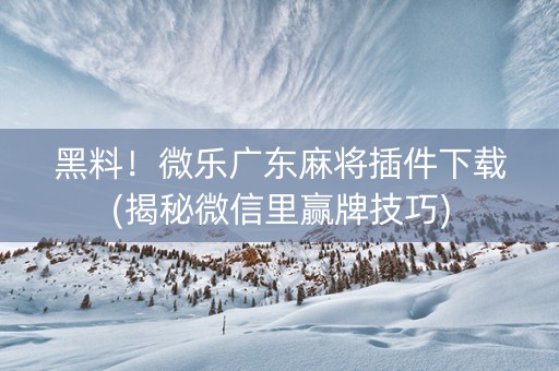 黑料！微乐广东麻将插件下载(揭秘微信里赢牌技巧)
