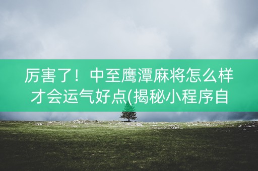厉害了！中至鹰潭麻将怎么样才会运气好点(揭秘小程序自建房怎么赢)