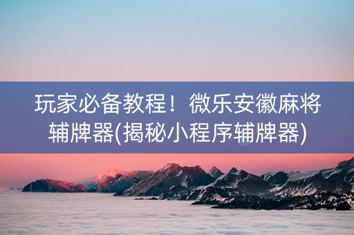 玩家必备教程！微乐安徽麻将辅牌器(揭秘小程序辅牌器)
