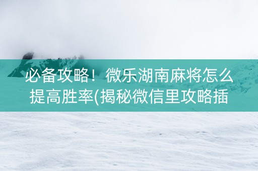 必备攻略！微乐湖南麻将怎么提高胜率(揭秘微信里攻略插件)