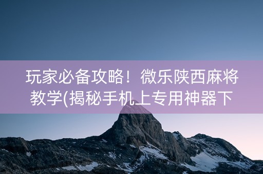 玩家必备攻略！微乐陕西麻将教学(揭秘手机上专用神器下载)