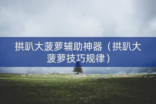 拱趴大菠萝辅助神器（拱趴大菠萝技巧规律）