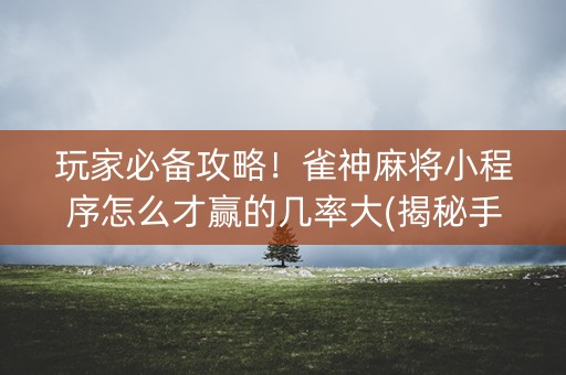玩家必备攻略！雀神麻将小程序怎么才赢的几率大(揭秘手机上专用神器)