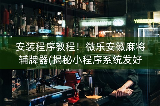 安装程序教程！微乐安徽麻将辅牌器(揭秘小程序系统发好牌)