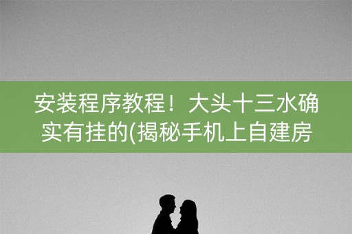 安装程序教程！大头十三水确实有挂的(揭秘手机上自建房怎么赢)