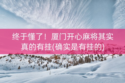 终于懂了！厦门开心麻将其实真的有挂(确实是有挂的)
