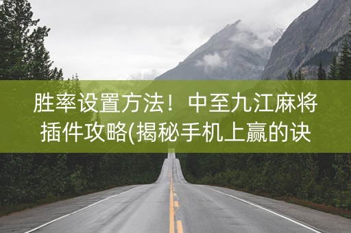 胜率设置方法！中至九江麻将插件攻略(揭秘手机上赢的诀窍)