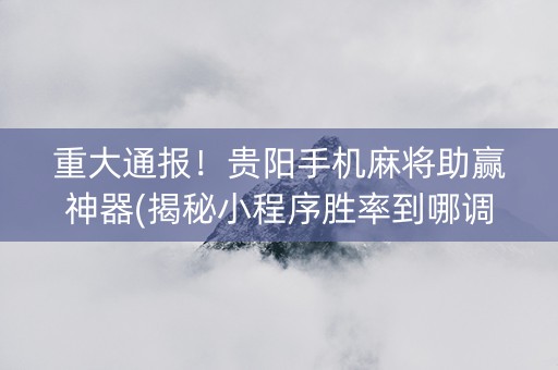 重大通报！贵阳手机麻将助赢神器(揭秘小程序胜率到哪调)