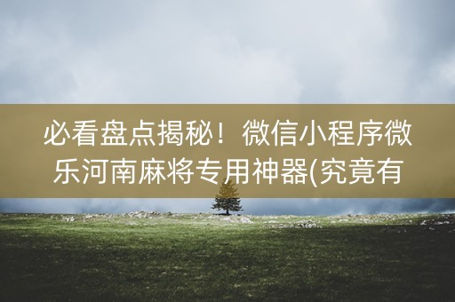 必看盘点揭秘！微信小程序微乐河南麻将专用神器(究竟有没有挂)