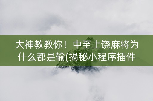大神教教你！中至上饶麻将为什么都是输(揭秘小程序插件购买)