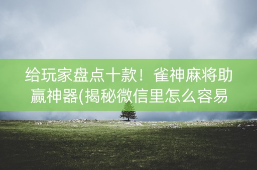 给玩家盘点十款！雀神麻将助赢神器(揭秘微信里怎么容易赢)