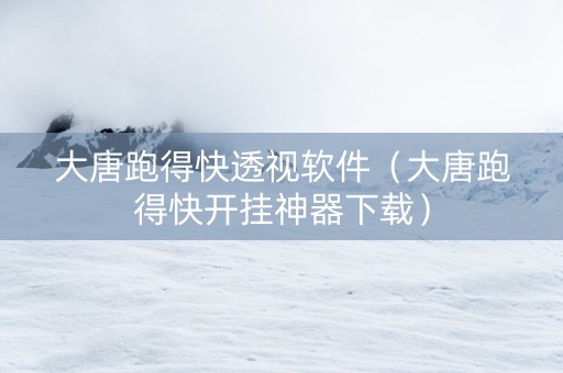 大唐跑得快透视软件（大唐跑得快开挂神器下载）