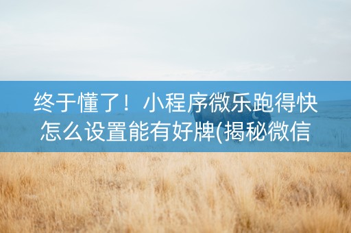 终于懂了！小程序微乐跑得快怎么设置能有好牌(揭秘微信里输赢规律)