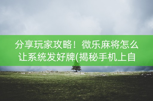 分享玩家攻略！微乐麻将怎么让系统发好牌(揭秘手机上自建房怎么赢)
